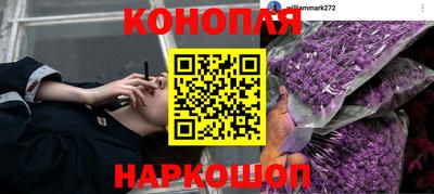 скорость Будённовск
