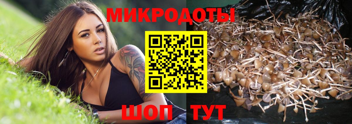 Галлюциногенные грибы прущие грибы  Вход с VPN  Галлюциногенные грибы MAGIC MUSHROOMS  Сертолово 