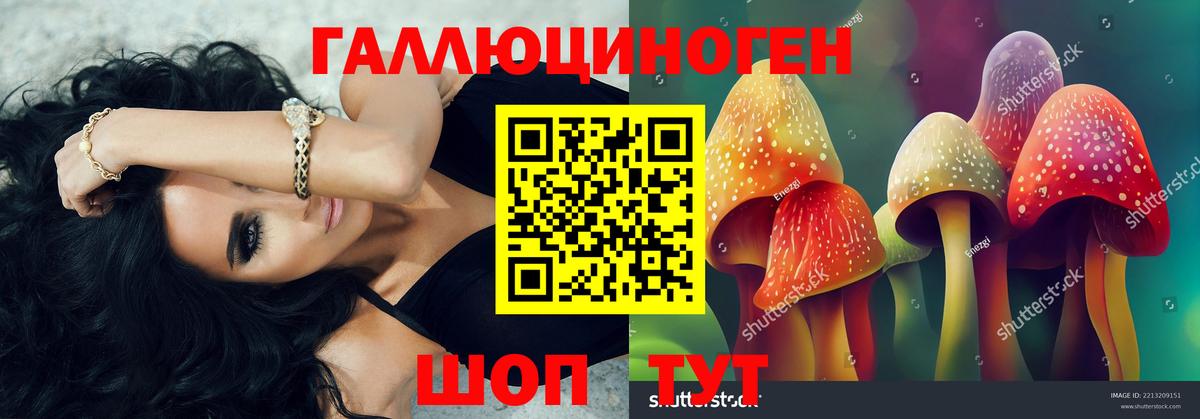 Галлюциногенные грибы Psilocybine cubensis Сертолово